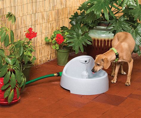 metal water trough for dog house|outdoor dog drinking water bowl.